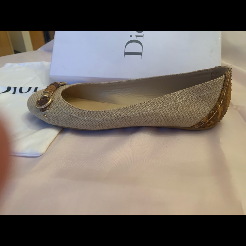 Fashion Shoes . Christian Dior. Toe Ballet